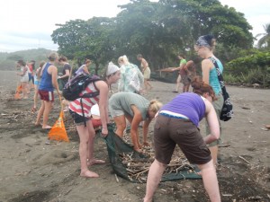 beachcleanupweb