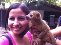 Volunteer holding kinkajou