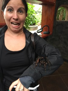 fake spider on arm