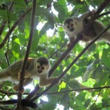 2016-01-09 12.35.17.jpg